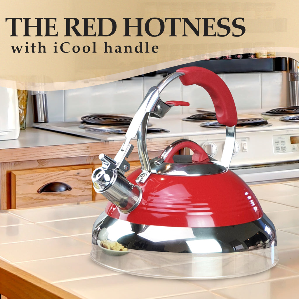The Hygienic Kettle  Review of the Glass Stovetop Whistling